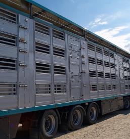  Lebendtiertransporte 