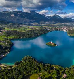 Oddaja sob Radovljica