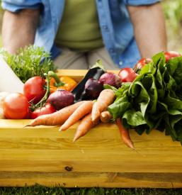 Zelenjava za restavracije