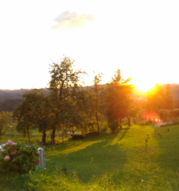 Poletni tabor za otroke na kmetiji Osrednja Slovenija