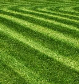 Ugodno urejanje oklice Pomurje