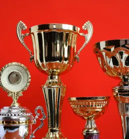Kje kupiti pokal