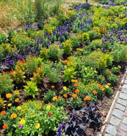 Kvalitetno svetovanje o vrtnarstvu