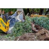 ARBO-STIHL, urejanje okolice in ostale storitve, Milomir Gavrić s.p.