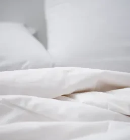Ugodna oddaja prenočišč Nova Gorica
