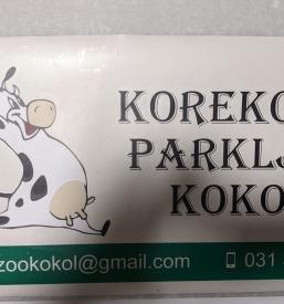 Reklame na avtomobilu Osrednja Slovenija