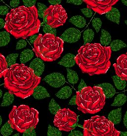 ugodno vezenje in tisk Primorska