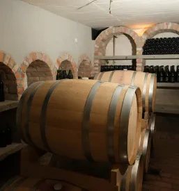 Ekološko trajnostna pridelava vin v Sloveniji
