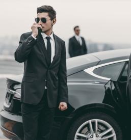 Fizično varovanje oseb Slovenija