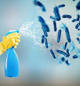 Najboljši čistilni servis Maribor, okolica