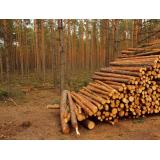 RIFLES, Nejc Pečnik s.p.