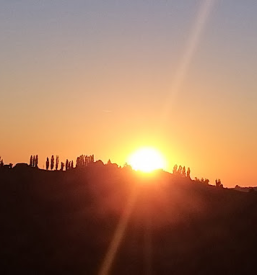 Apartment for rent Jeruzalem, Slovenia