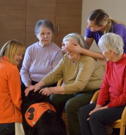 Izobraževanje živali za terapijo Ljubljana