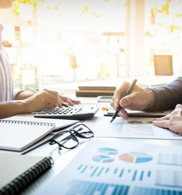 Revizija stvarnih vložkov Slovenija