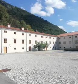Guided tours Vipava