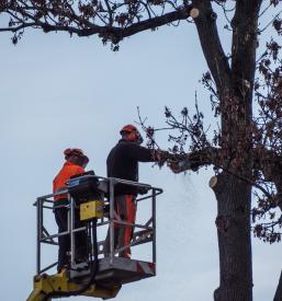 Ugodni HIAB prevozi Maribor, Štajerska