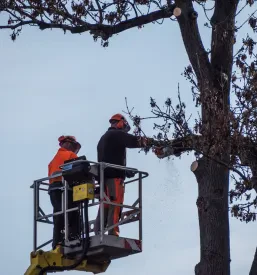 Ugodni HIAB prevozi Maribor, Štajerska