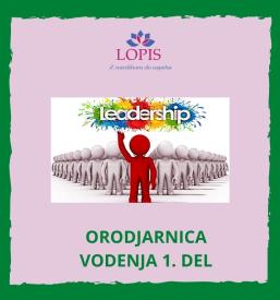 Individualni poslovni coaching za prodajo in vodenje Slovenija