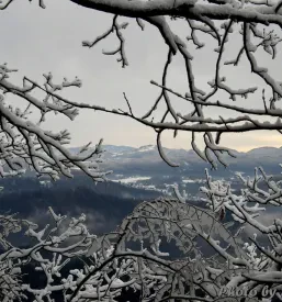 zima pred Planinsko kočo Rudijev dom v Vzhodni Sloveniji