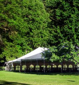 ugodno oddajanje šotorov Podravje