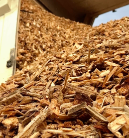 Ugodna prodaja in žaganje lesa Savinjska