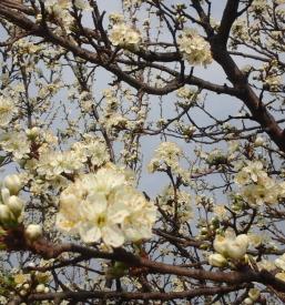 Socialno varstvo Maribor