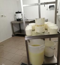 Domač ovčji sir Ljubljana, okolica