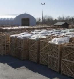 Dostava peletov Primorska