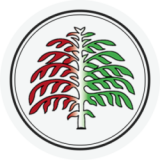 Madžarska narodna samoupravna skupnost občine Šalovci