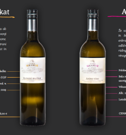 Degustacije vina Savinjska