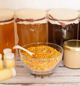 Prodaja domačega medu Bela krajina