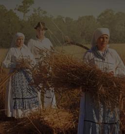 Vpis v umetniško društvo Bogojina