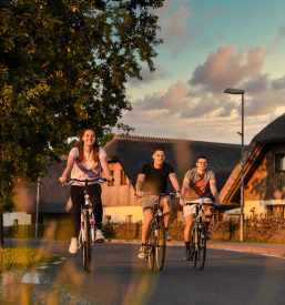 Najem apartmaja v Prekmurju