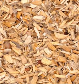 Ugoden odkup biomase Pomurje