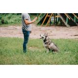 Pasja šola Milan Primožič s.p.