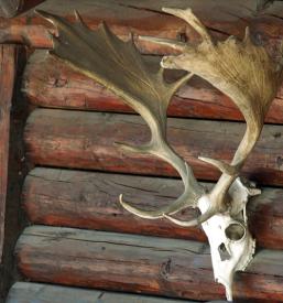 Lovska zbirka Loška dolina