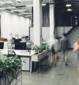 Hiter najem in prodaja poslovnih prostorov Zasavje