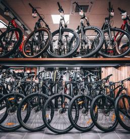 Servis koles Štajerska