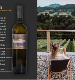 Degustacija vina za skupine Podčetrtek