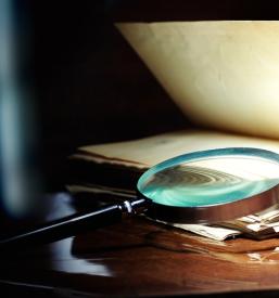 Poceni detektiv Koper