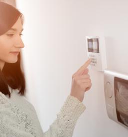 Dobava alarmov in videonadzorov Bela krajina