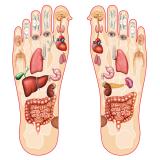 Refleksoterapija in astrologija pot k harmoniji Mojca Remec Rojec s.p.