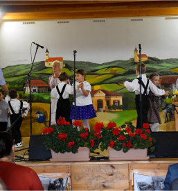 Madžarska narodna manjšina