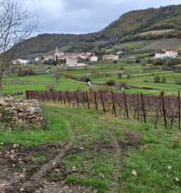 Pohodništvo Goriška