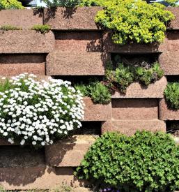 Hitro urejanje okolice na morju