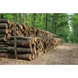 Agrarna skupnost Čezsoča a.s.