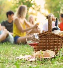 Organizacija piknikov Maribor