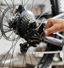 Servis koles Osrednja Slovenija