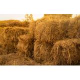 Klement Stanislav s.p.