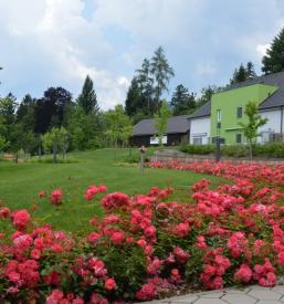 Kvalitetna oskrba starejših Radlje ob Dravi